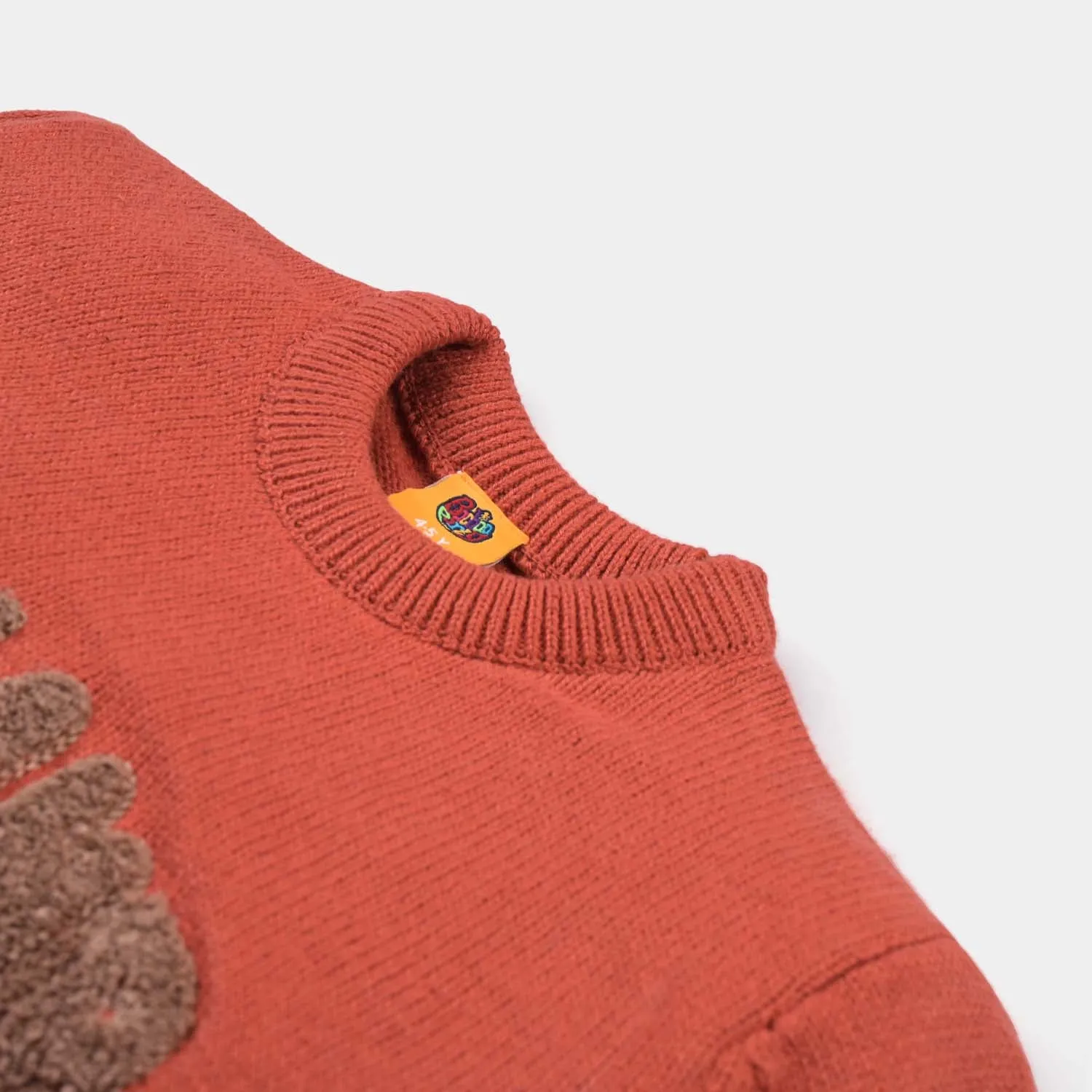 Boys Cotton Full Sleeves Sweater Embroidered-Rust