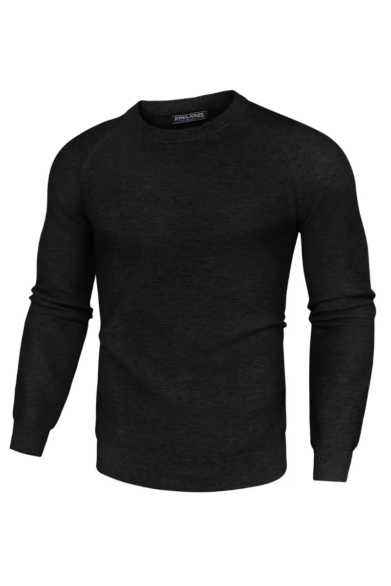 Men Fully Textured Sweater Long Raglan Sleeve Crew Neck Ribbed Cuff Pullover